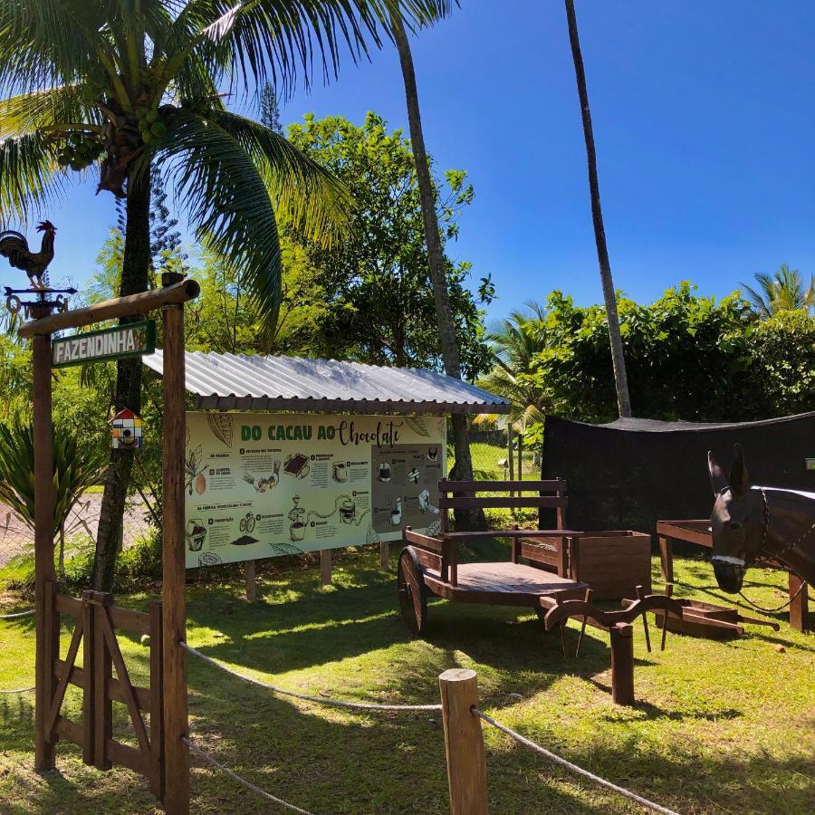 Jardim Atlantico Beach Resort Ilhéus Zewnętrze zdjęcie
